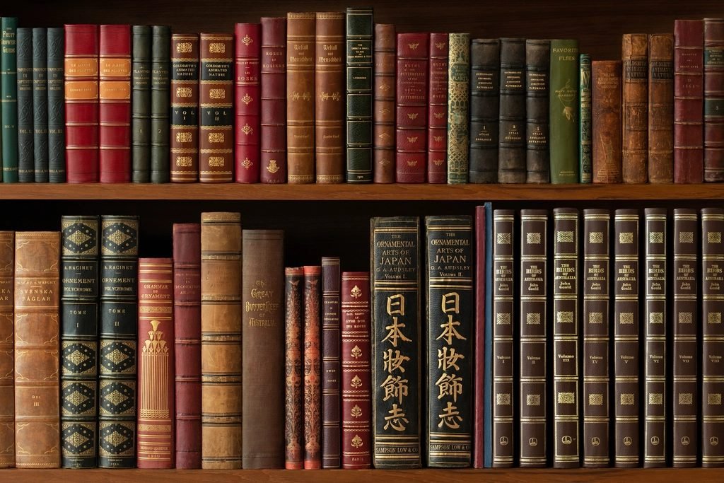 Regal mit alten, ledergebundenen Büchern, sinnbildlich für das Forum-Archiv